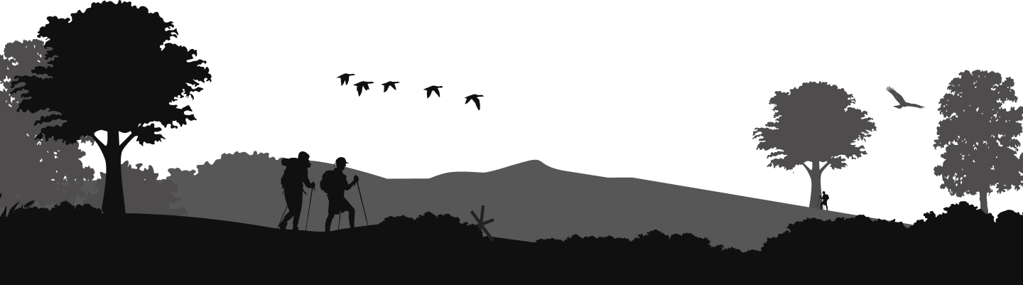 default footer image