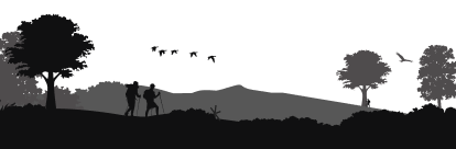 default footer image